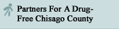 Partners for a drug-free Chisago County