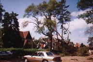 damage on Pinehurst