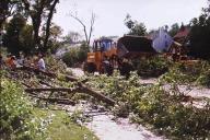 more clearing crew at work