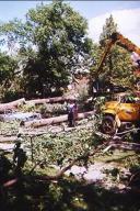 storm damage