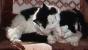 [Hari and Berry in a chair]