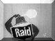 Raid